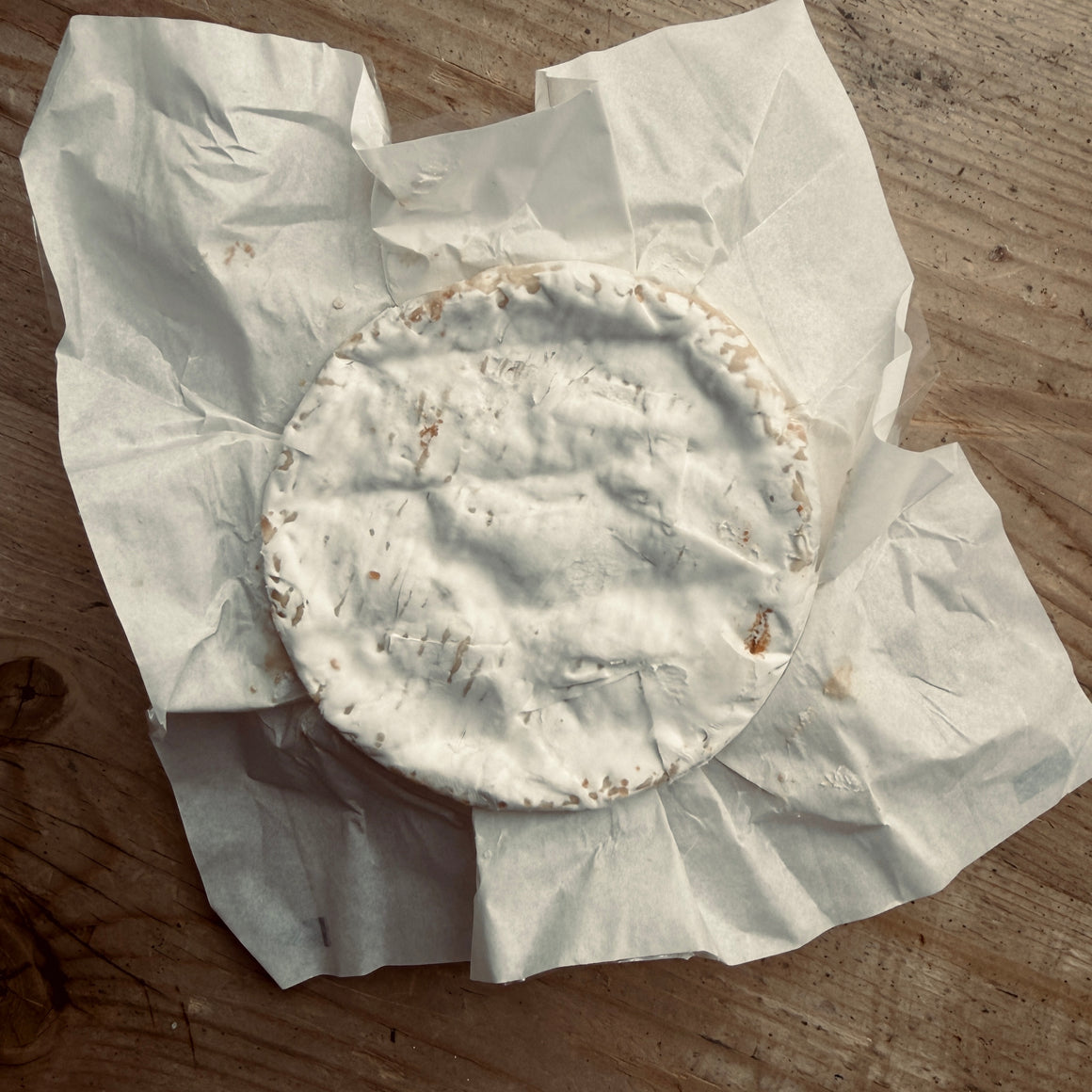 Petit Camembert