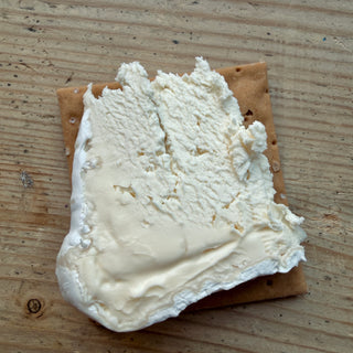 Gluten Free Olive Oil and Sea Salt Crackers