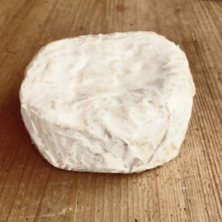 Norfolk White Lady