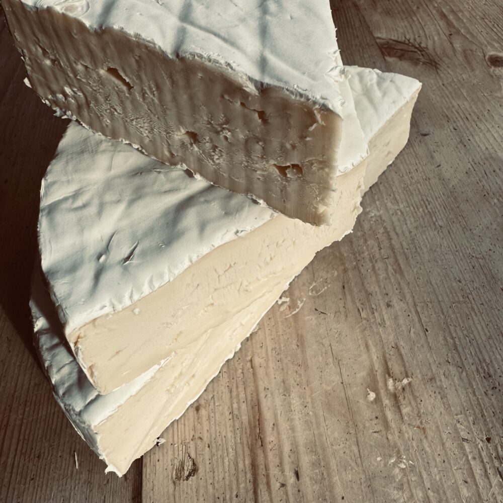 Cenarth Organic Brie